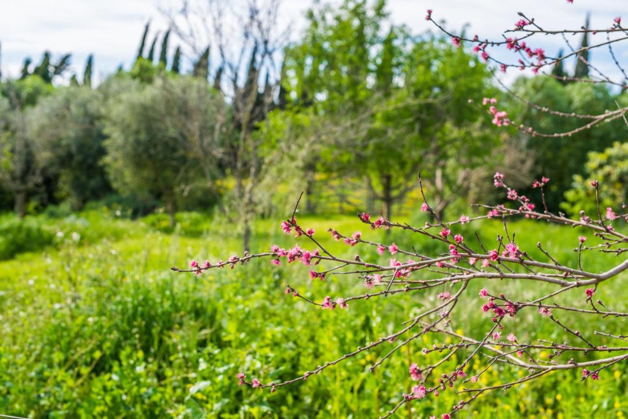 Вілла Traumhafte Finca Son Senyor - Mit Pferdekoppel Са Побла Екстер'єр фото