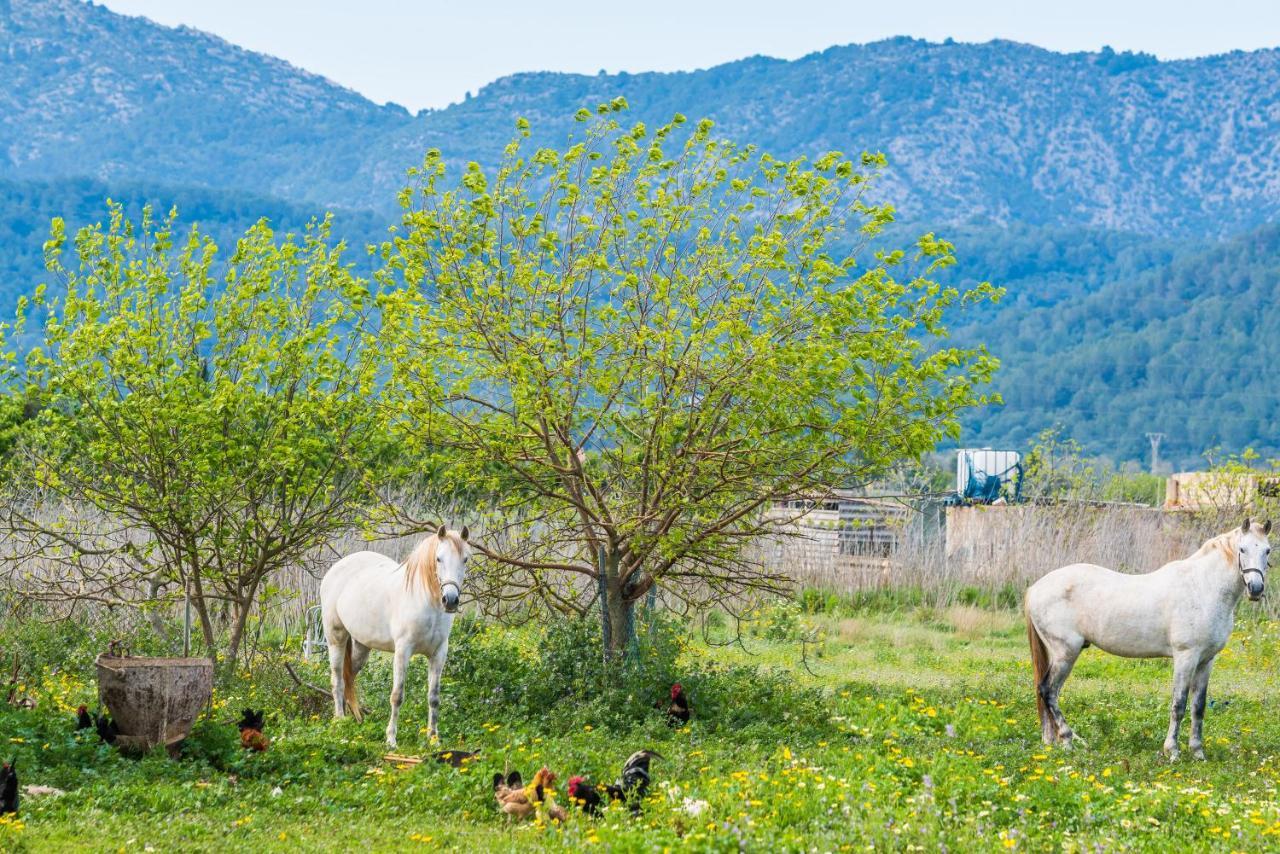 Вілла Traumhafte Finca Son Senyor - Mit Pferdekoppel Са Побла Екстер'єр фото